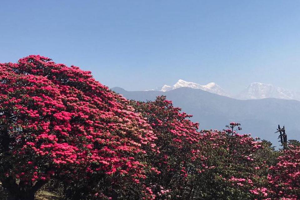 Pikey Peak Trek-a place must see