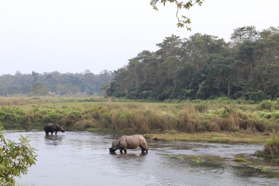 Chitwan