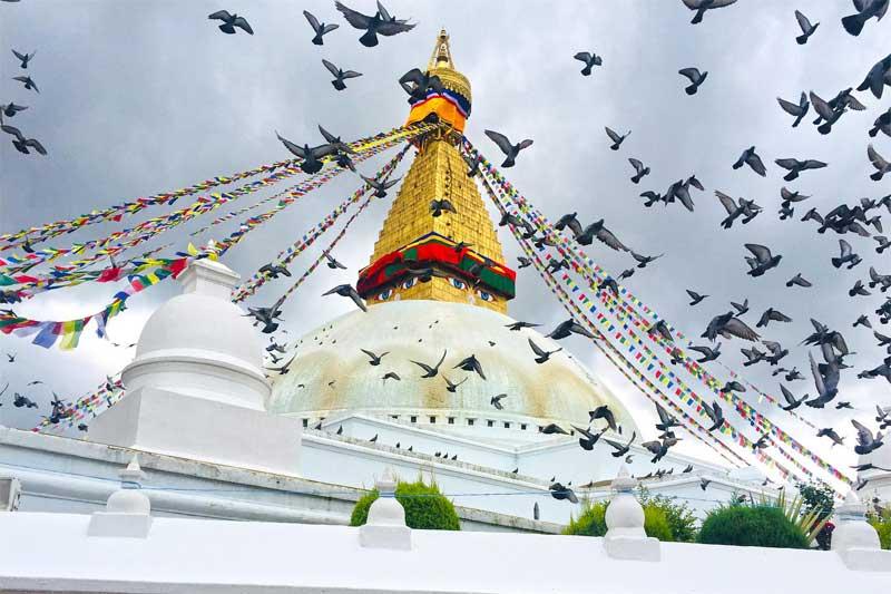 Kathmandu Nagarkot Pokhara Tour